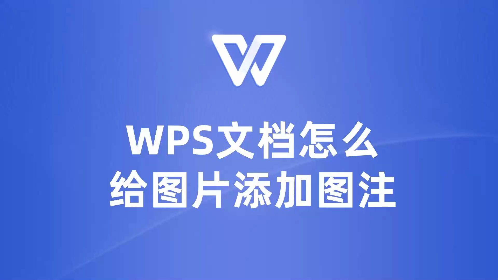 初学wps教程